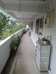 Blk 34 Bendemeer Ville (Kallang/Whampoa), HDB 3 Rooms #622674831